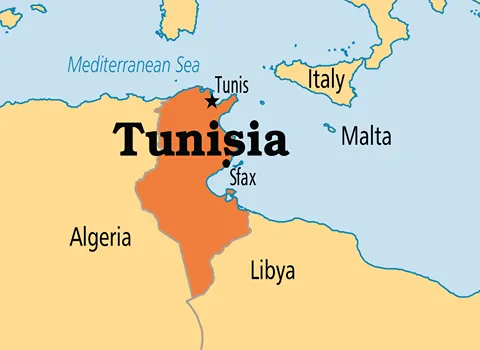 صادرات به تونس