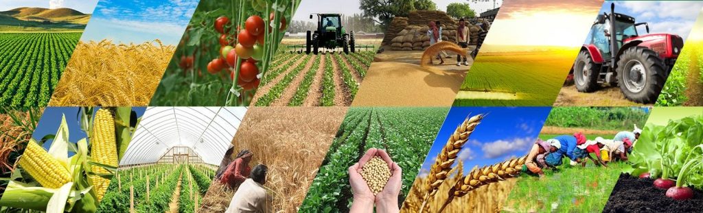 محصولات صادراتی به نیجریه