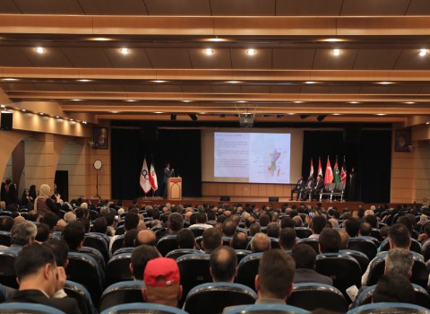 آراد برندینگ